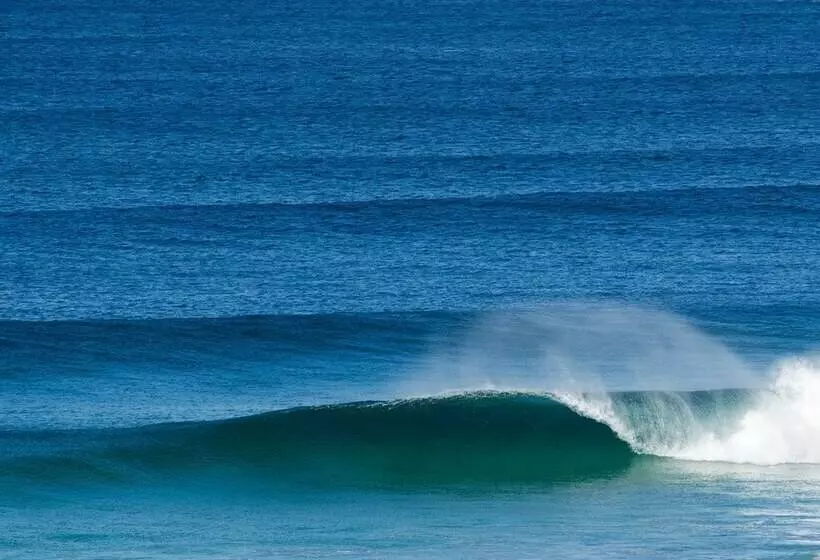 호스텔 Base Surf Lodge