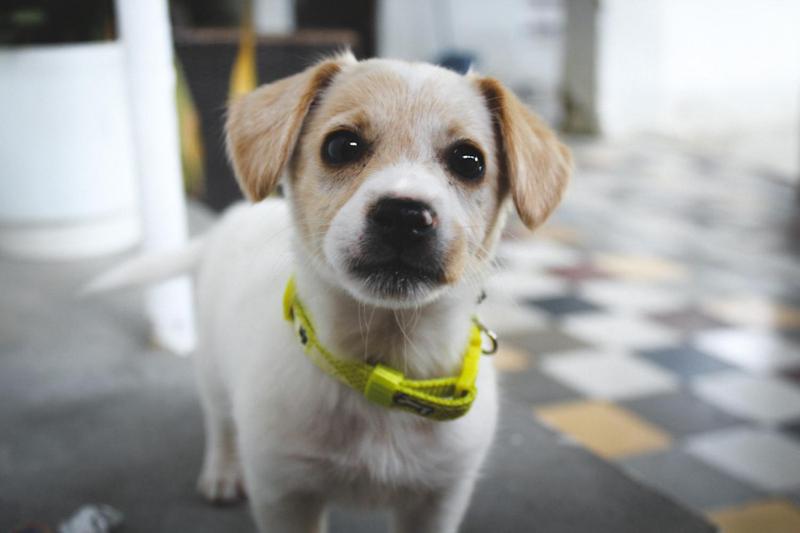 Majatalo Barbieri Cave