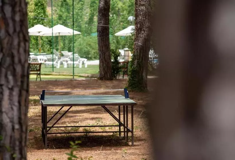 Hotelli Villa Dei Pini