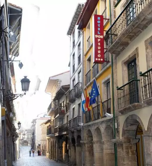 Отель Don Pedro