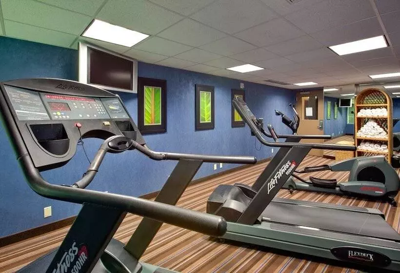 Holiday Inn Express Hotel & Suites Chatham South, An Ihg