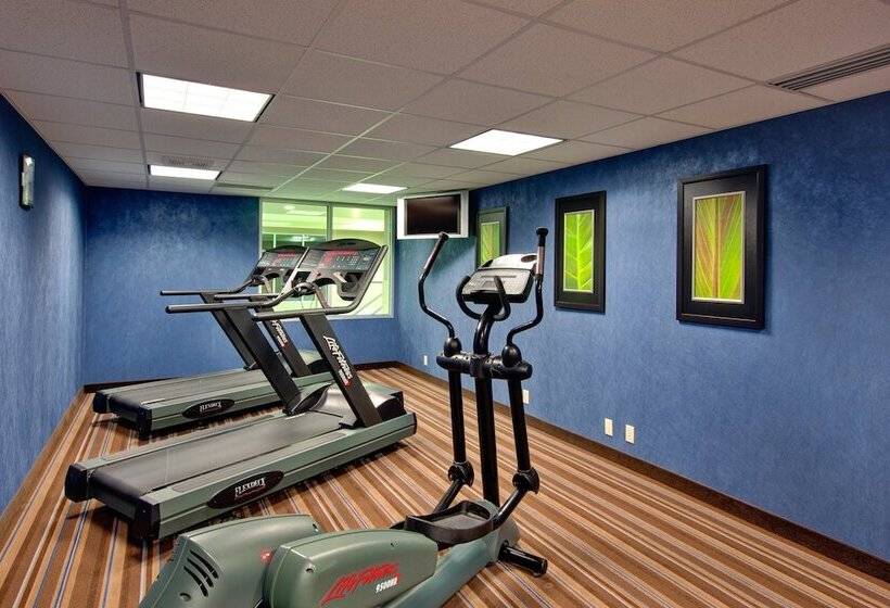 Holiday Inn Express Hotel & Suites Chatham South, An Ihg