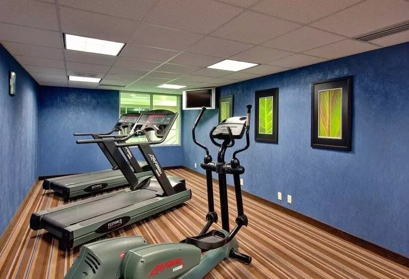 Holiday Inn Express Hotel & Suites Chatham South, An Ihg