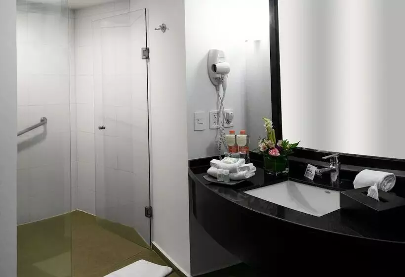 Szálloda Holiday Inn Express Toluca Galerias Metepec, An Ihg