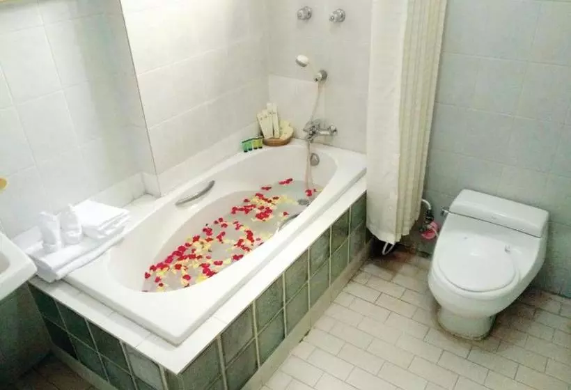 هتل Myit Phyar Ayer