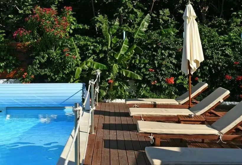 酒店 Villa Katerina