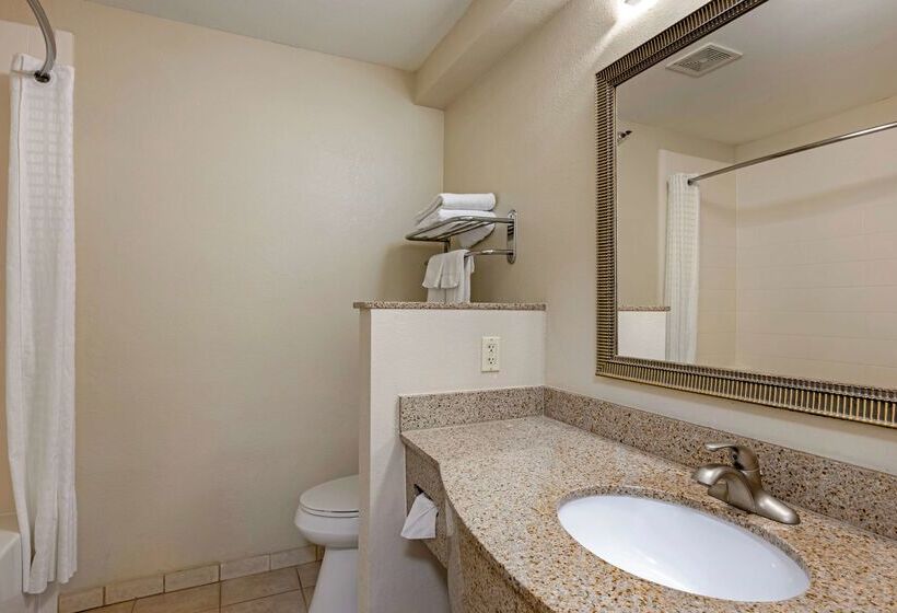 בית מלון כפרי Best Western Plus Omaha Airport Inn