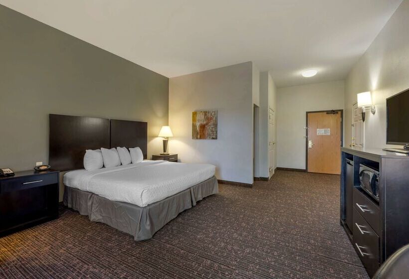 בית מלון כפרי Best Western Plus Omaha Airport Inn