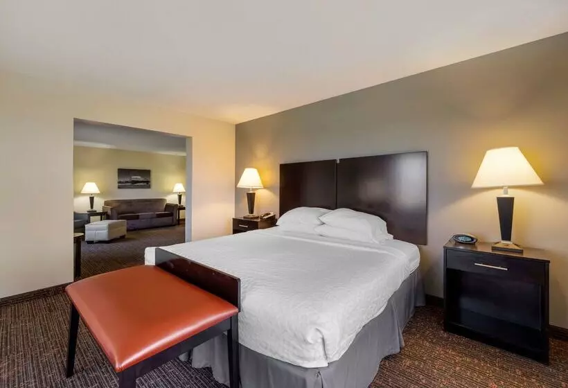 בית מלון כפרי Best Western Plus Omaha Airport Inn