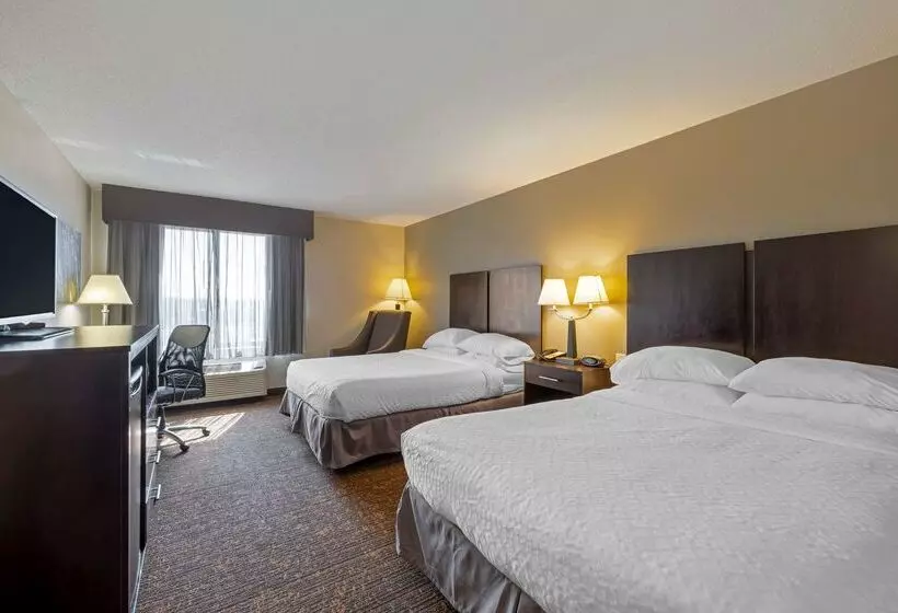 בית מלון כפרי Best Western Plus Omaha Airport Inn