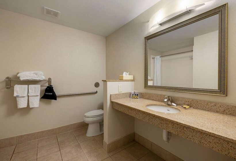 בית מלון כפרי Best Western Plus Omaha Airport Inn