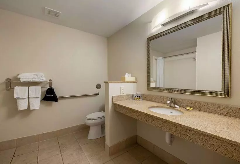 בית מלון כפרי Best Western Plus Omaha Airport Inn