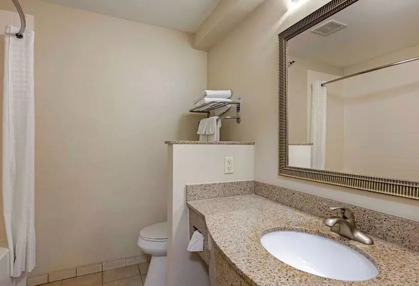 בית מלון כפרי Best Western Plus Omaha Airport Inn