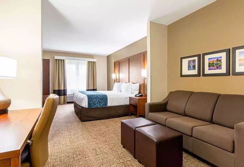 ホテル Comfort Inn & Suites Pine Bluff