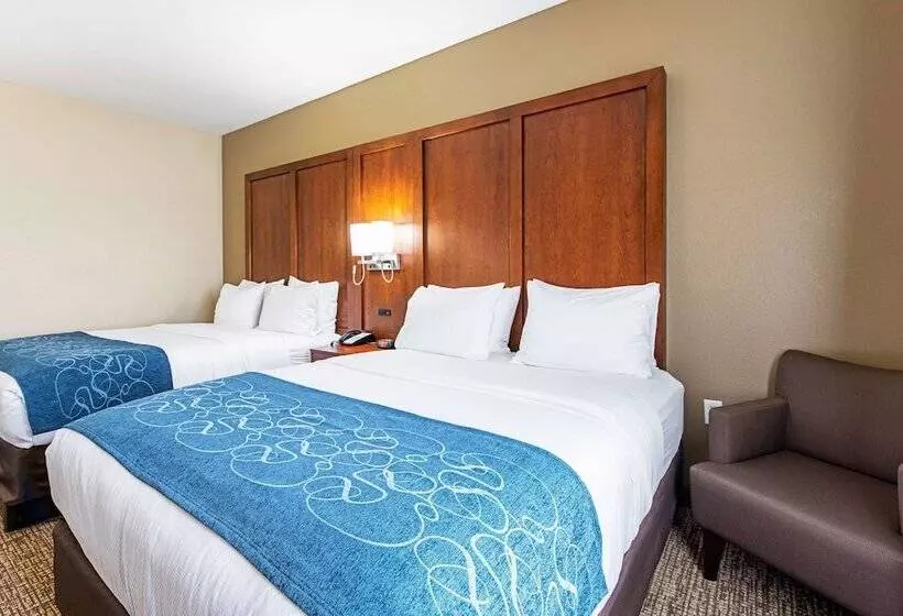 ホテル Comfort Inn & Suites Pine Bluff
