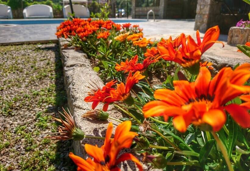 בית מלון כפרי Ata Lagoon Beach