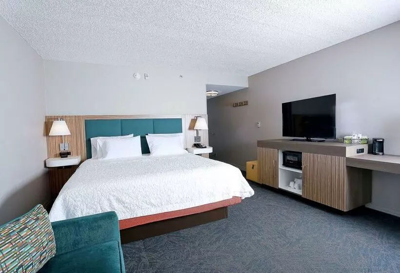 فندق Hampton Inn & Suites Tampawesley Chapel