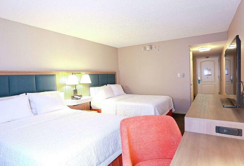 فندق Hampton Inn & Suites Tampawesley Chapel