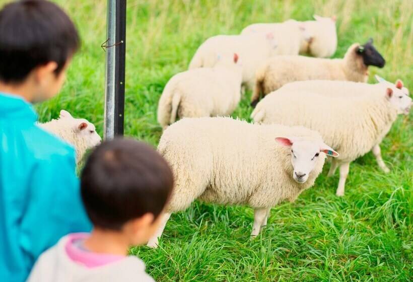 Rusutsu Resort Hotel & Convention