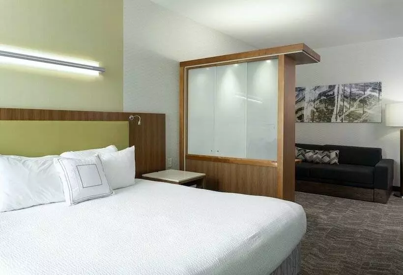 호텔 Springhill Suites By Marriott Philadelphia Airport / Ridley Park