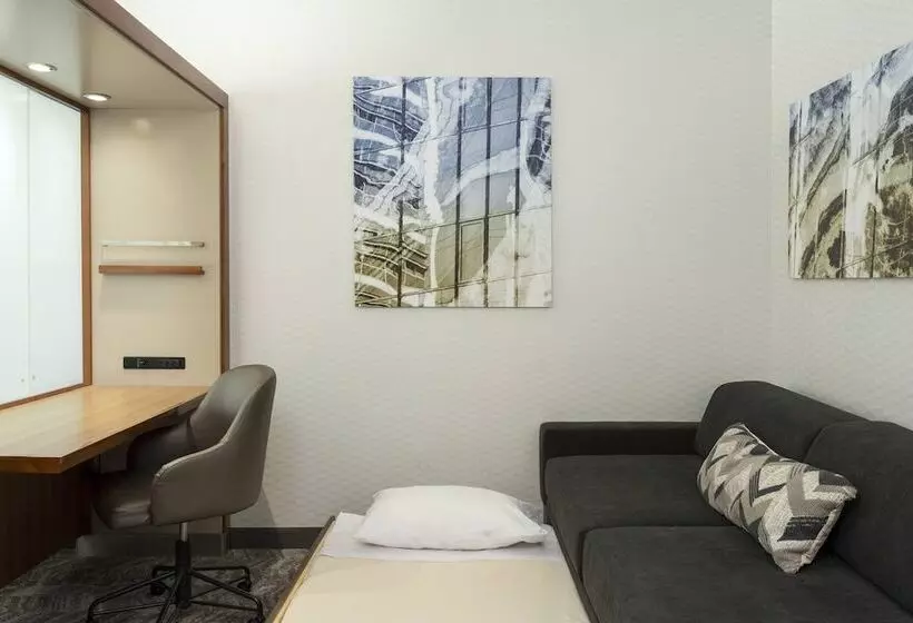 호텔 Springhill Suites By Marriott Philadelphia Airport / Ridley Park