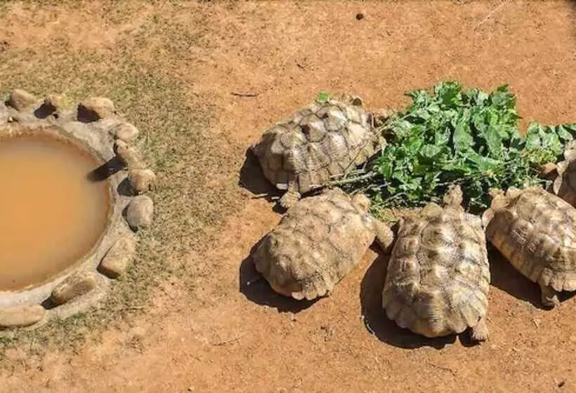 هتل Leofoo Resort Guanshi