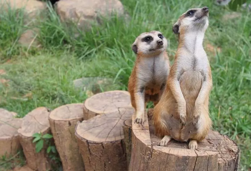 هتل Leofoo Resort Guanshi