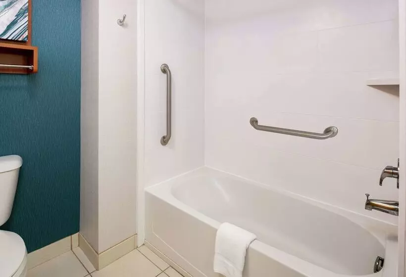 Homewood Suites By Hilton Virginia Beach/norfolk Airport