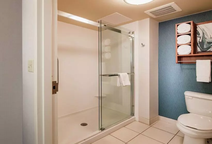 Homewood Suites By Hilton Virginia Beach/norfolk Airport