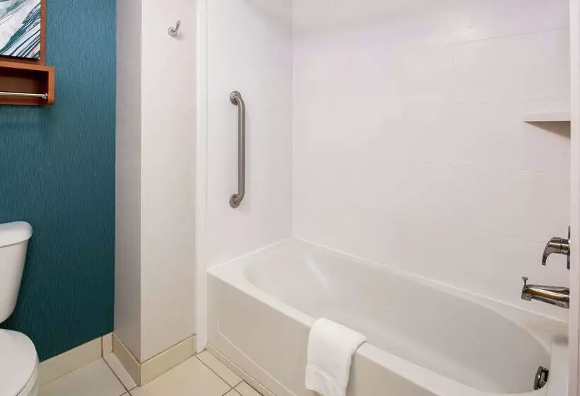 Homewood Suites By Hilton Virginia Beach/norfolk Airport