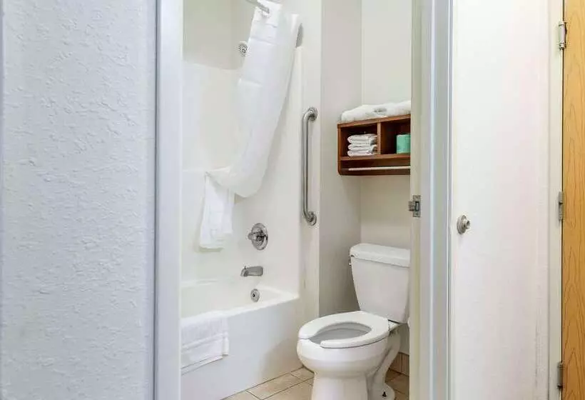 هتل Comfort Inn Downtown University Area