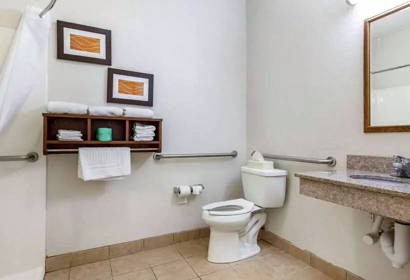 هتل Comfort Inn Downtown University Area