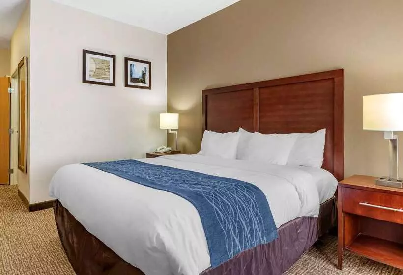 هتل Comfort Inn Downtown University Area