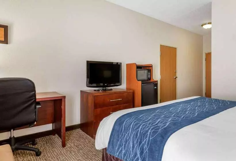 هتل Comfort Inn Downtown University Area