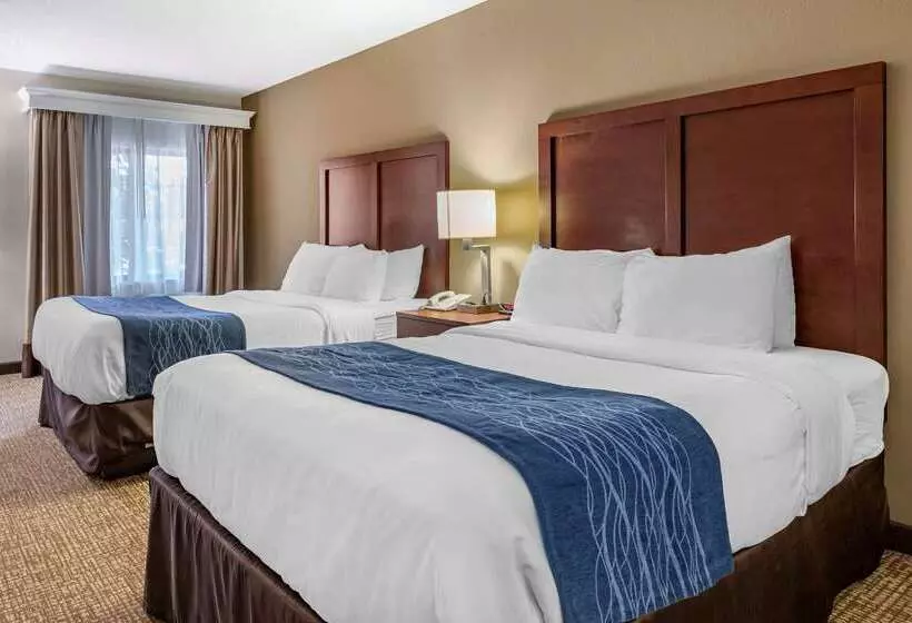 هتل Comfort Inn Downtown University Area