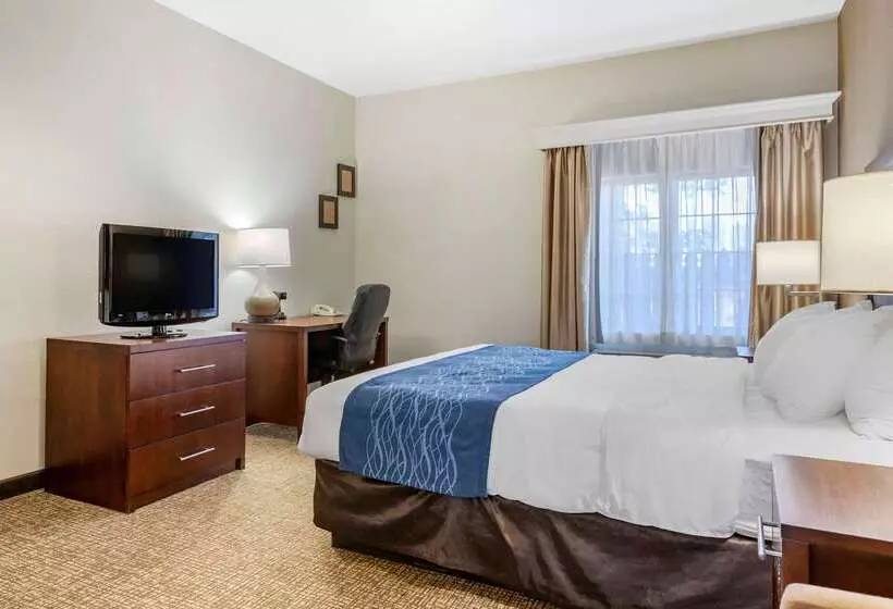 هتل Comfort Inn Downtown University Area
