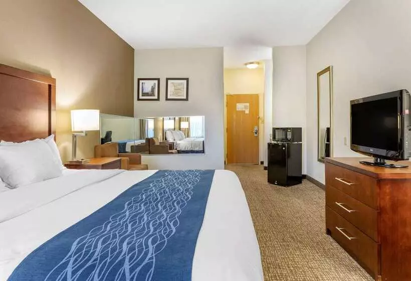 هتل Comfort Inn Downtown University Area