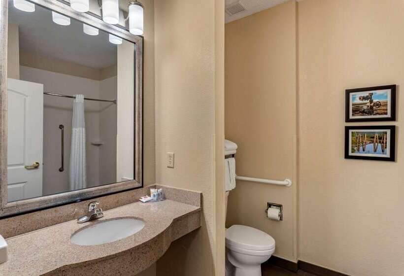 酒店 Comfort Inn & Suites El Dorado