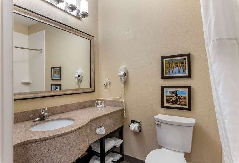 酒店 Comfort Inn & Suites El Dorado