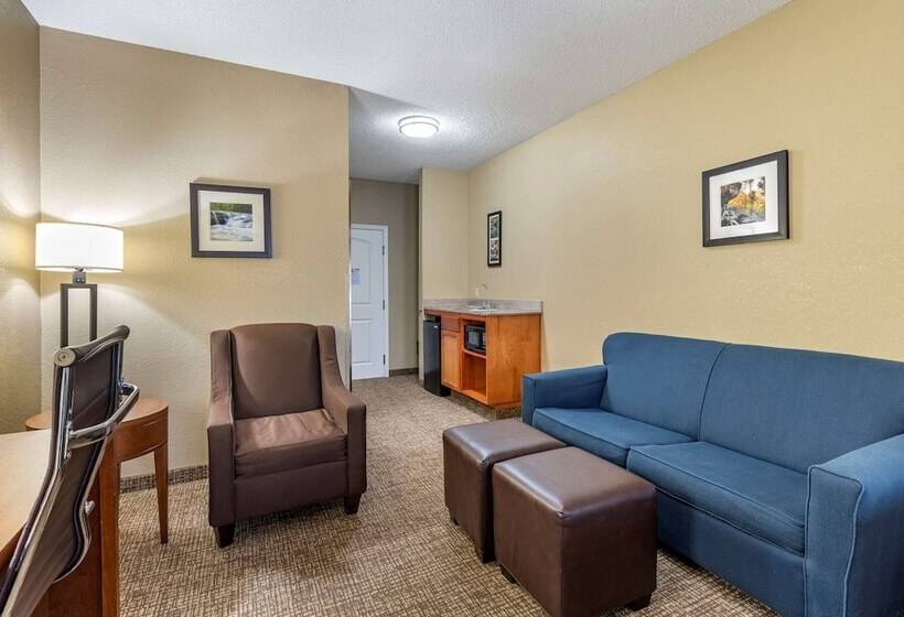 酒店 Comfort Inn & Suites El Dorado