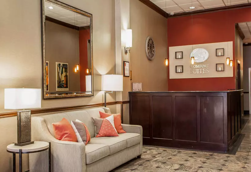 酒店 Comfort Suites Michigan Avenue - Loop