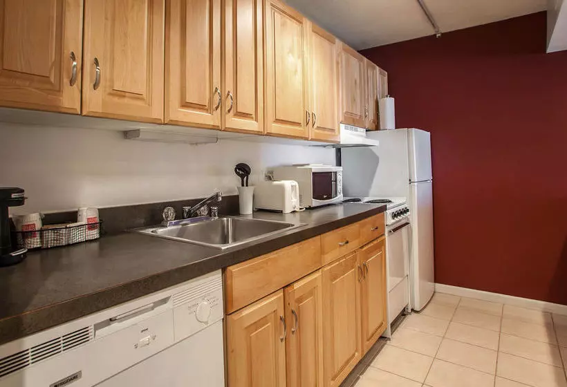 酒店 Comfort Suites Michigan Avenue - Loop