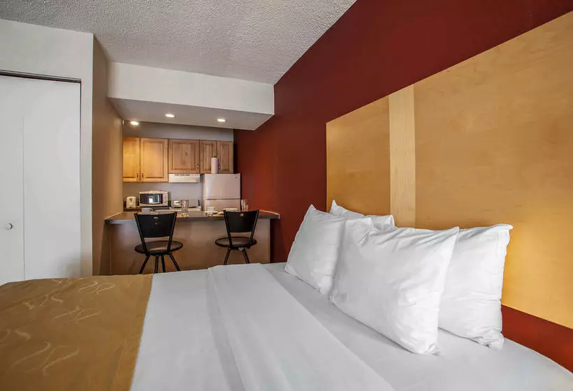 酒店 Comfort Suites Michigan Avenue - Loop