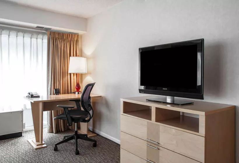 酒店 Comfort Suites Michigan Avenue - Loop