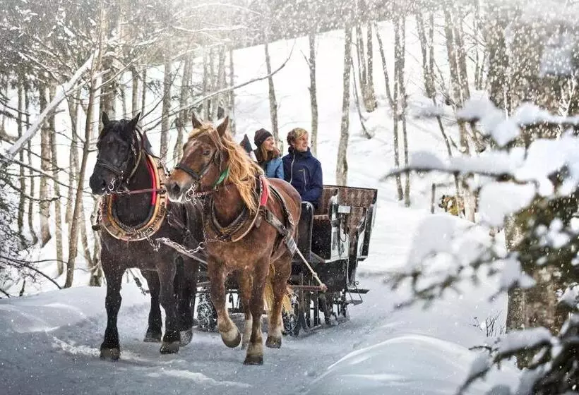בית מלון כפרי Die Sonne