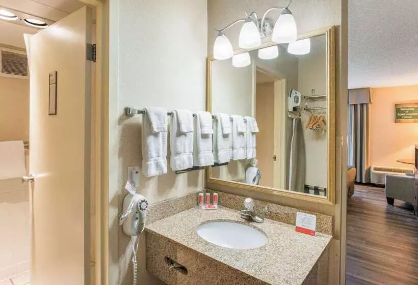 בית מלון כפרי Econo Lodge