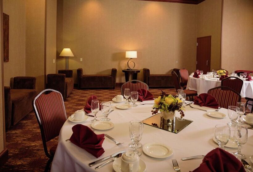 בית מלון כפרי Embassy Suites By Hilton Minneapolis North