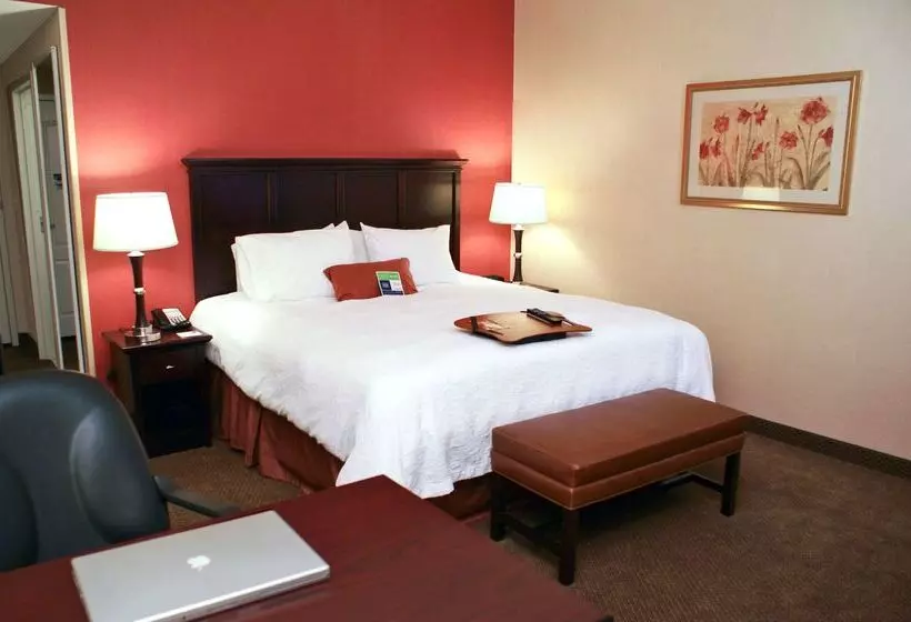 فندق Hampton Inn Las Vegas North Speedway