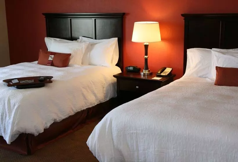 فندق Hampton Inn Las Vegas North Speedway