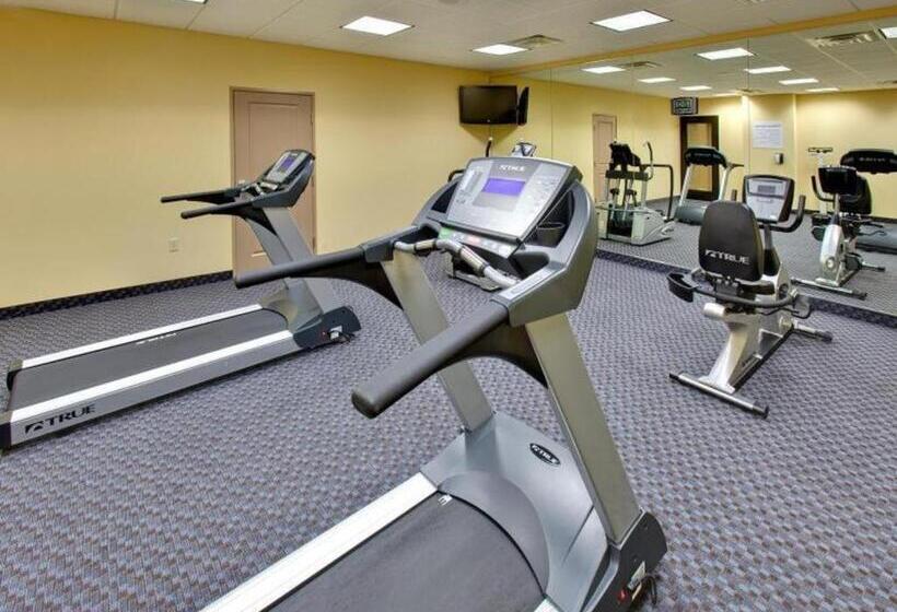 Holiday Inn Express Hotel & Suites Grand Island By Ihg